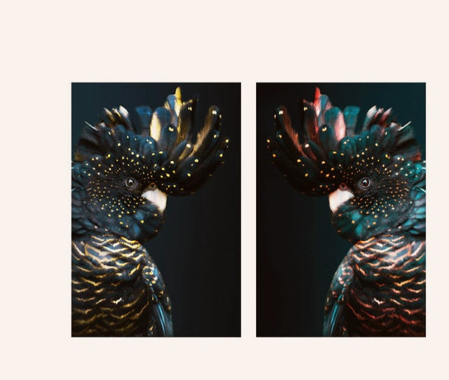 Animal Decor
