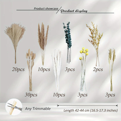 Dried Flower