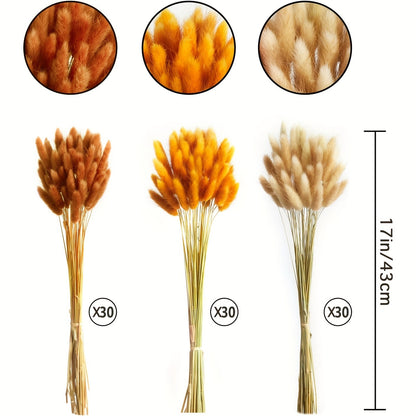 Dried Flower