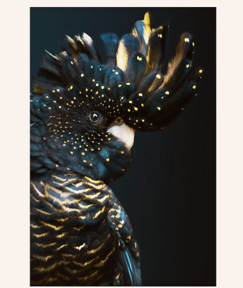 Animal Decor
