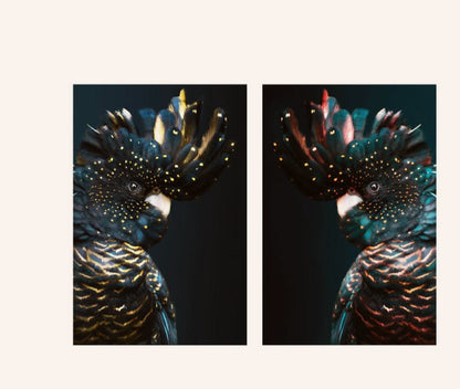 Animal Decor