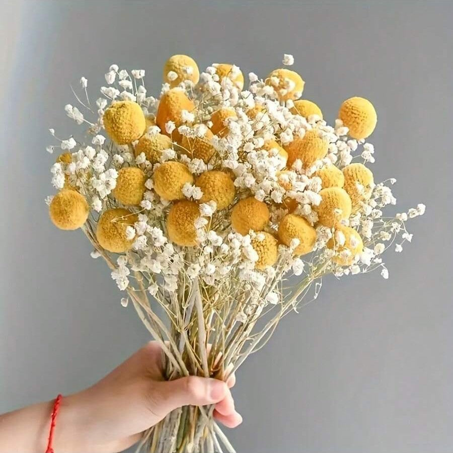 Dried Flower