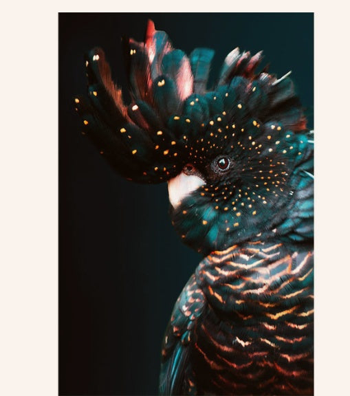 Animal Decor