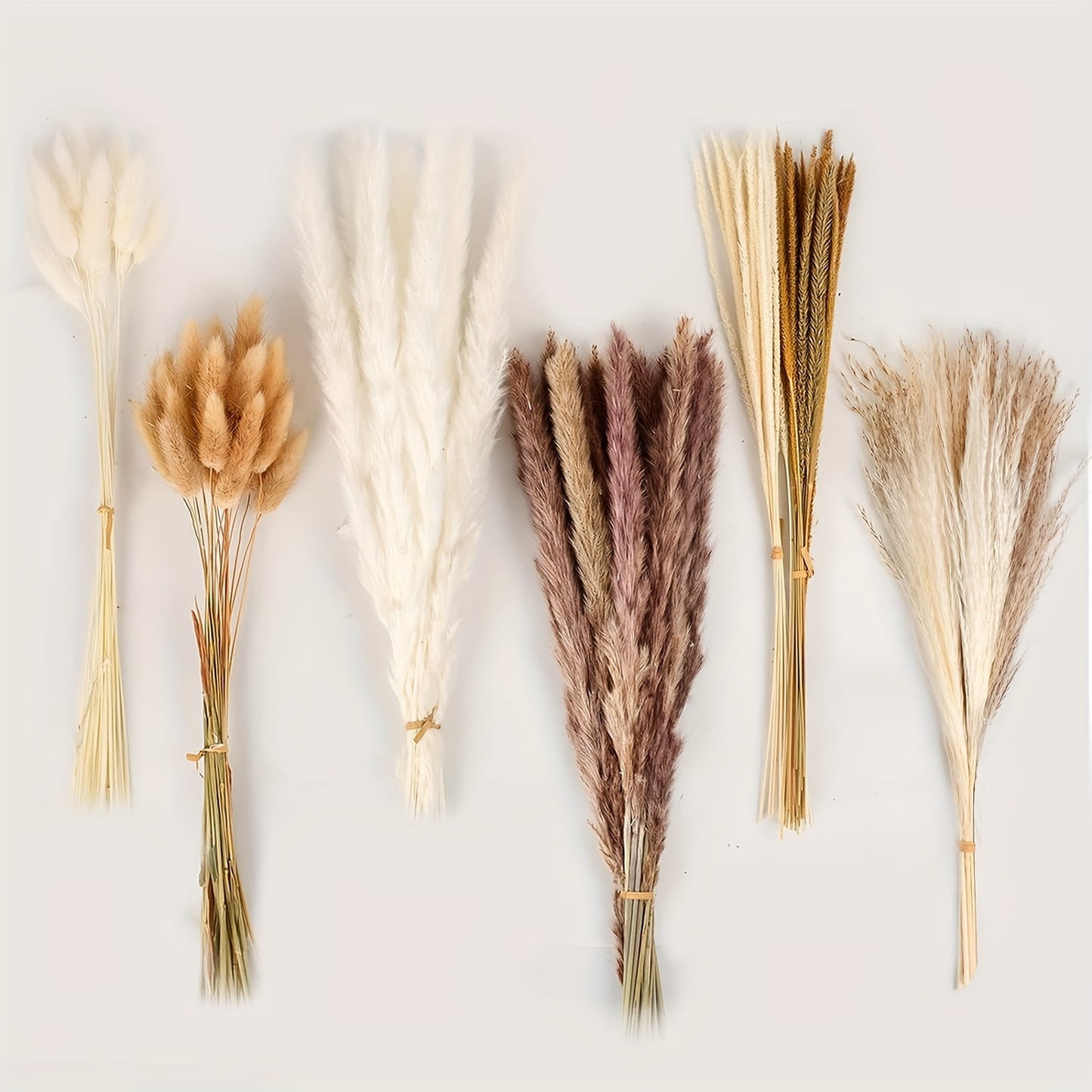 Dried Flower